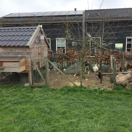 Hoeve Cornelia Berkel en Rodenrijs Exterior foto