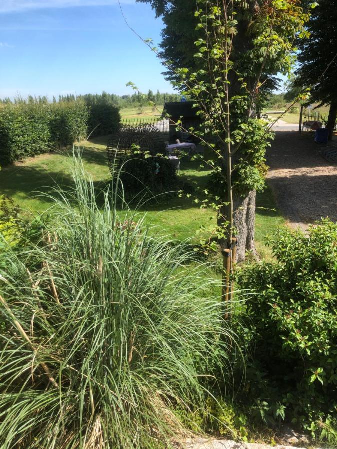 Hoeve Cornelia Berkel en Rodenrijs Exterior foto